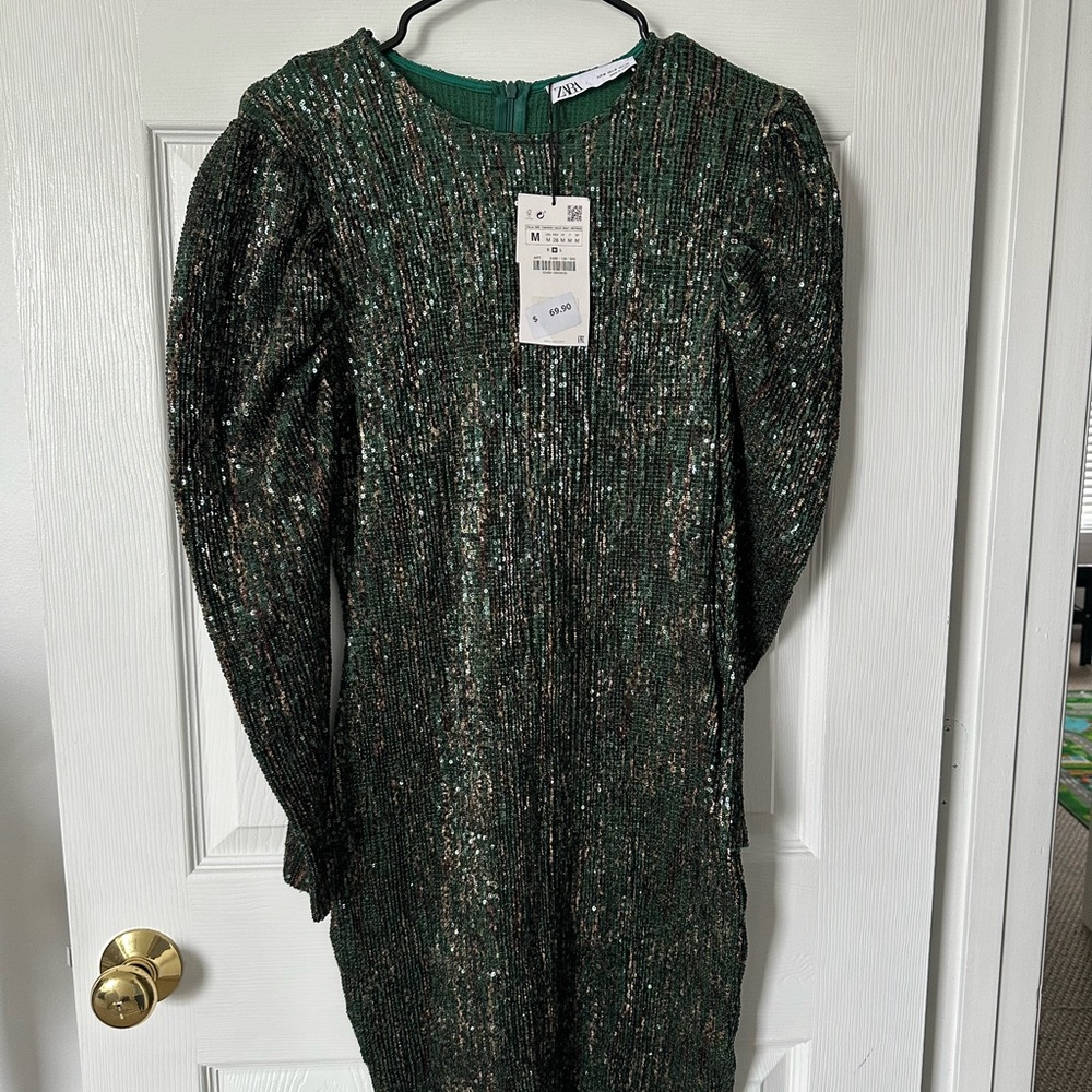 Zara Shimmering Green and Brown Sequin Top
